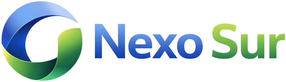 NexoSur Logo
